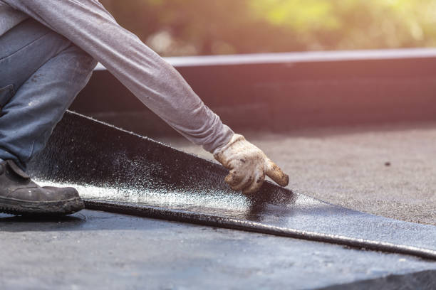 Professional Interior Drainage System technician working in Woodburn, VA